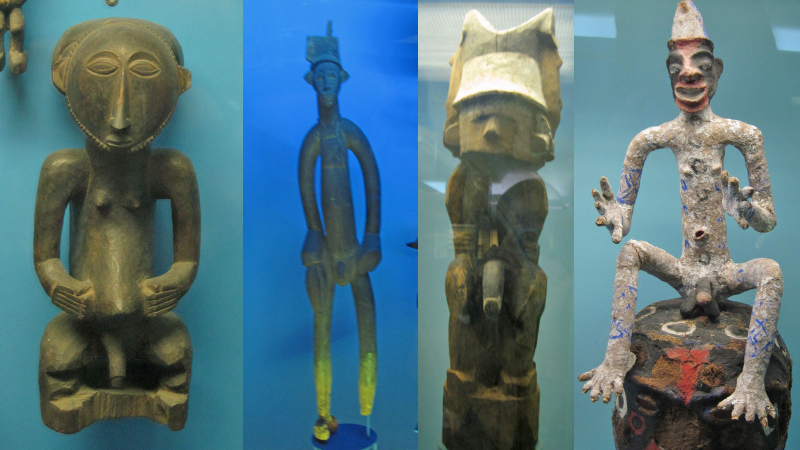 Illustration for article titled Here's Every Single Penis in the American Museum of Natural History